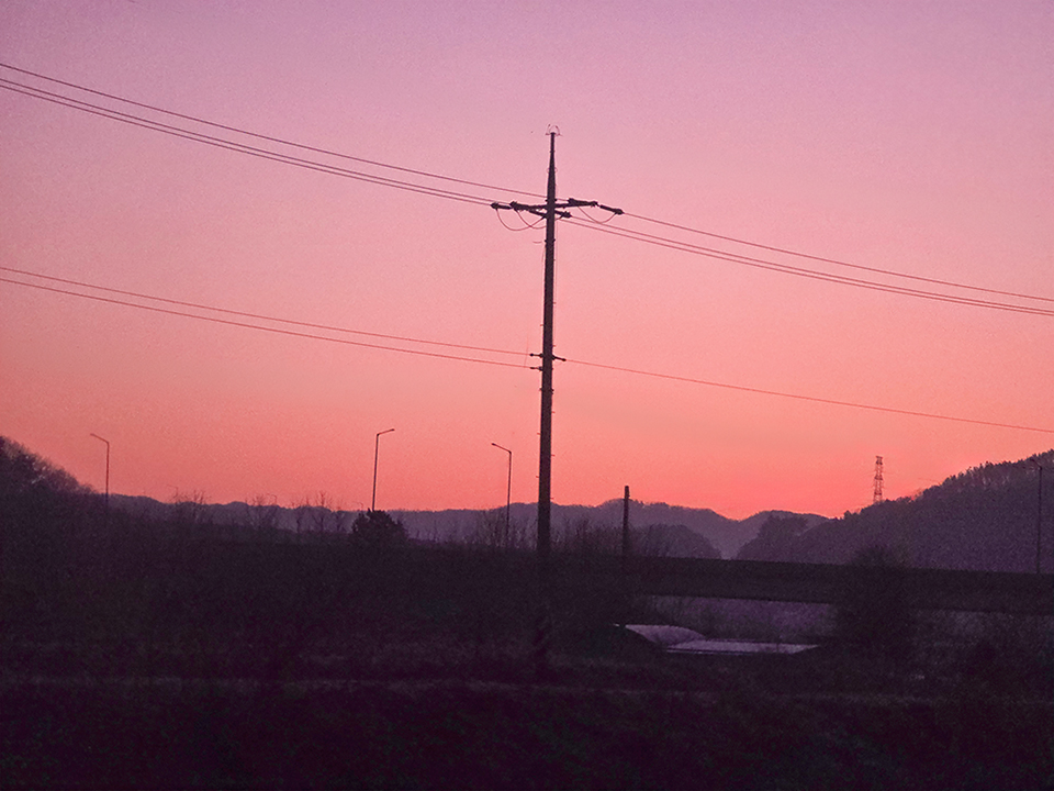 20260308_064744 -960.jpg