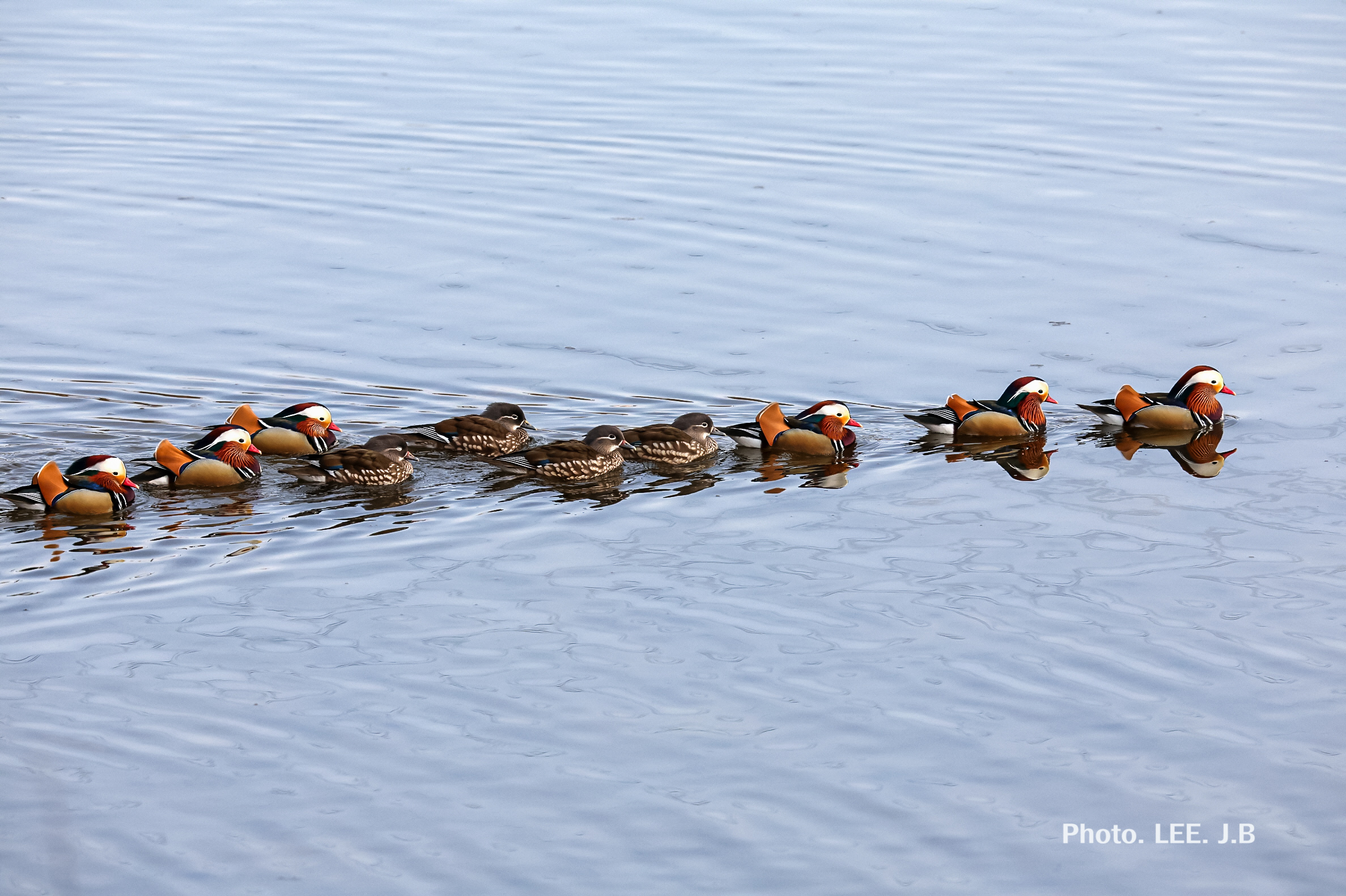 20260126-청도하천 (33).JPG