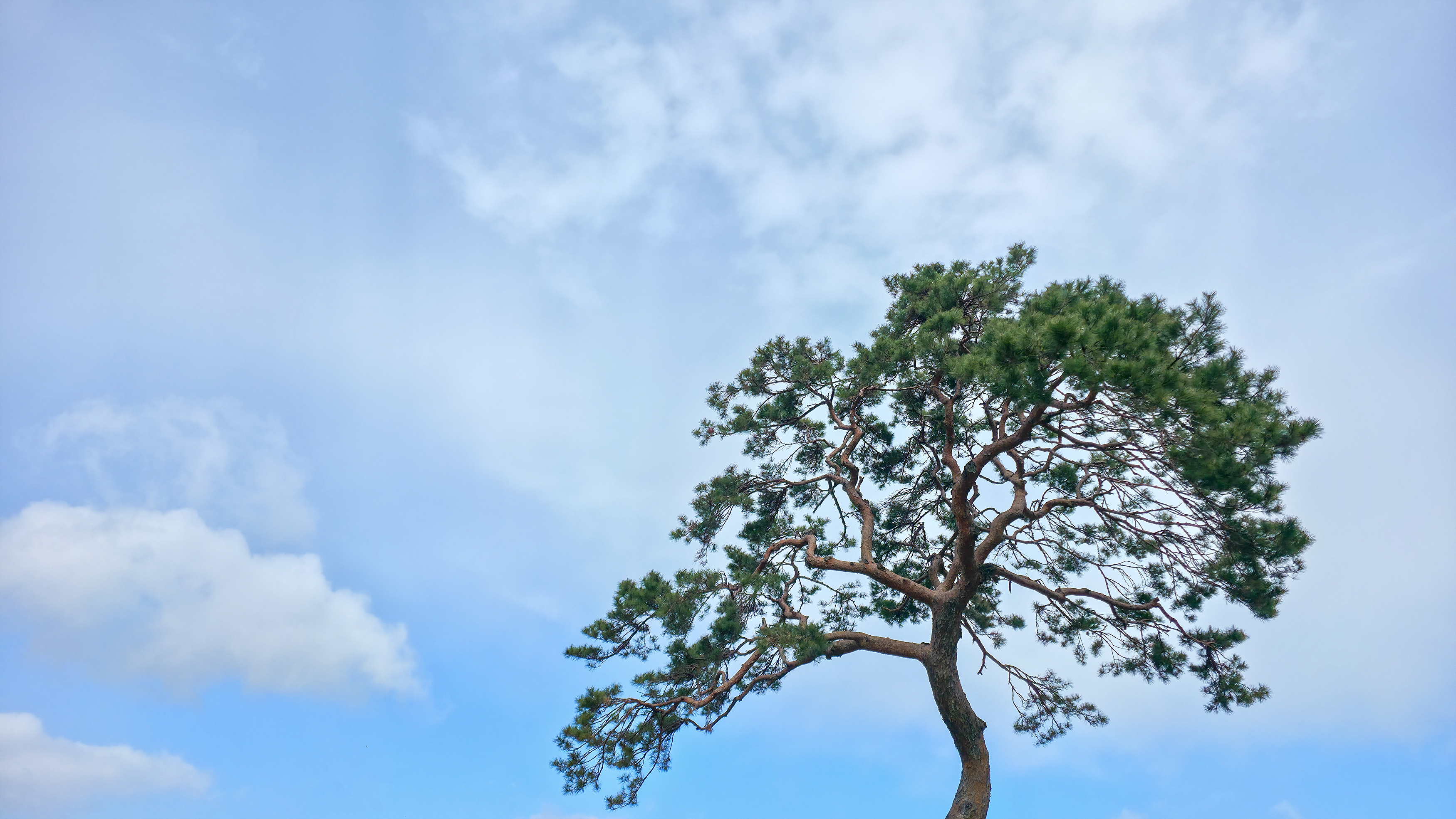 20260313_mod_hdr_145506 복사.jpg