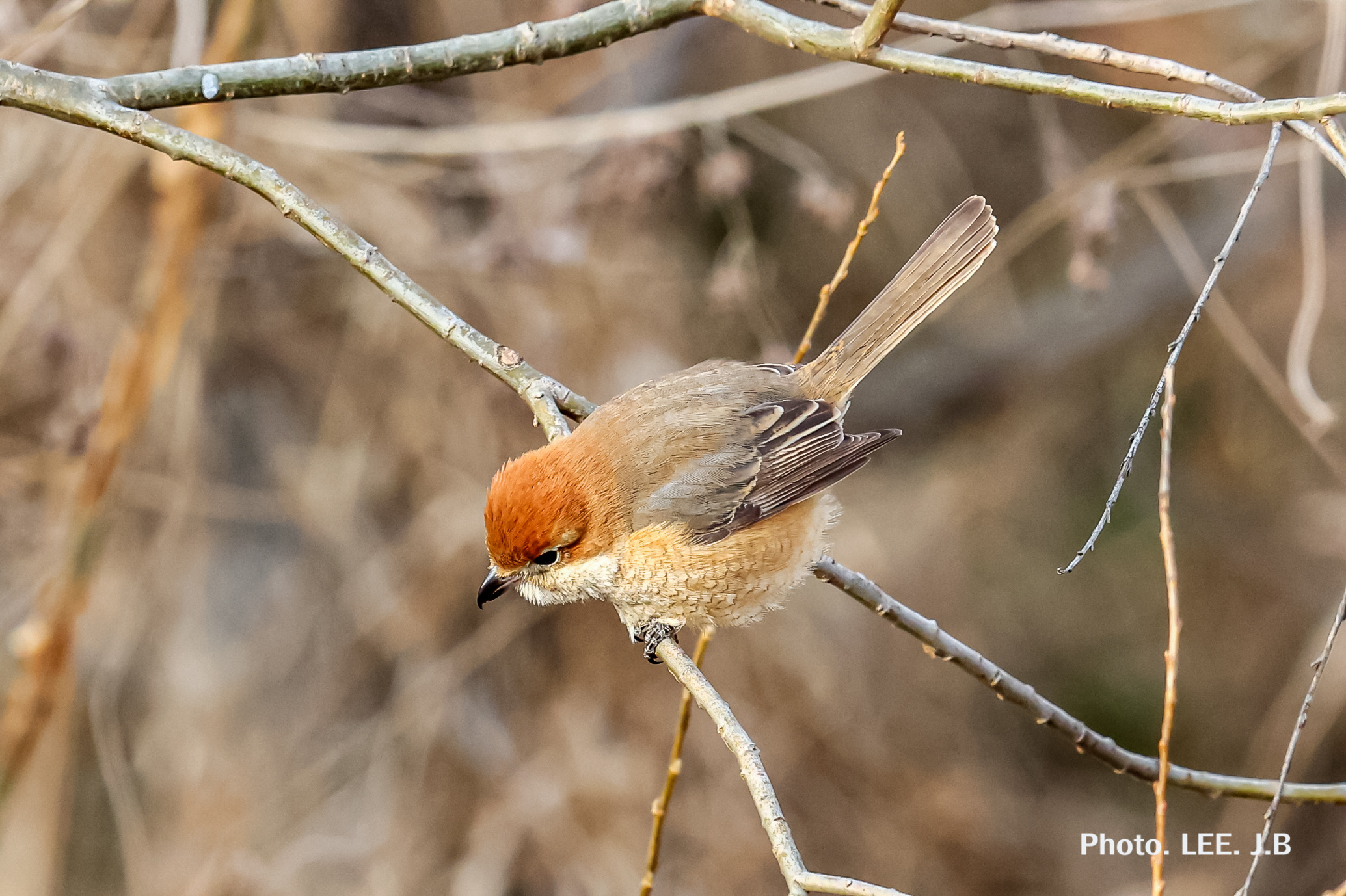 20260205-남창동상 (6).JPG