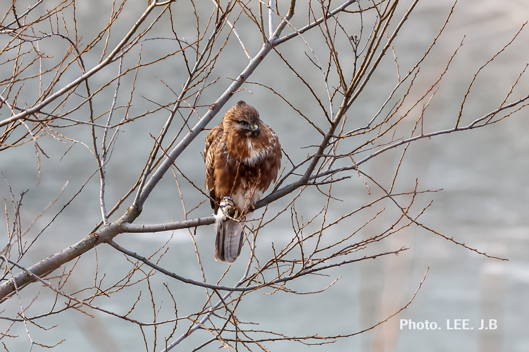 20260205-남창동상 (9).JPG