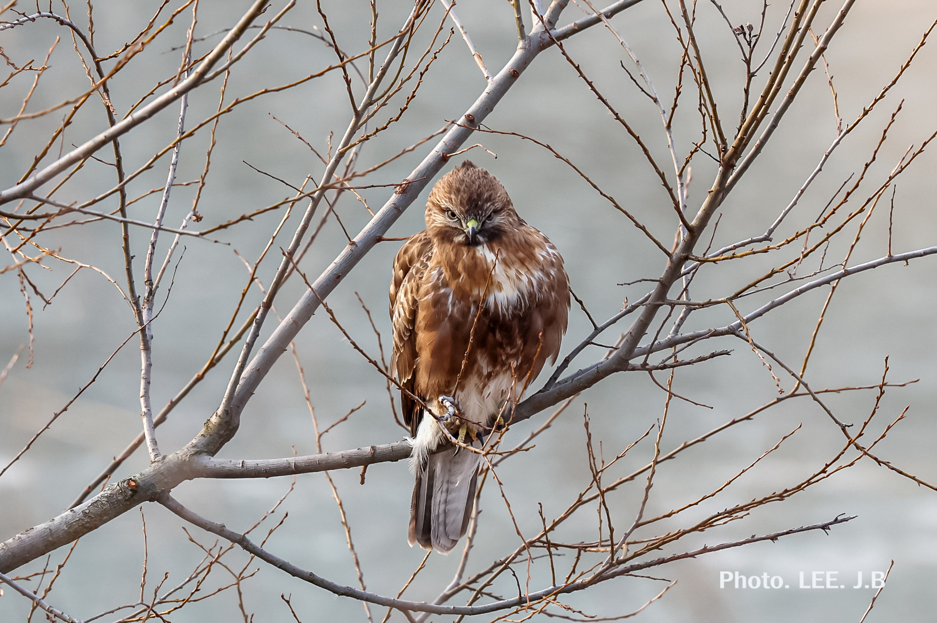 20260205-남창동상 (7).JPG