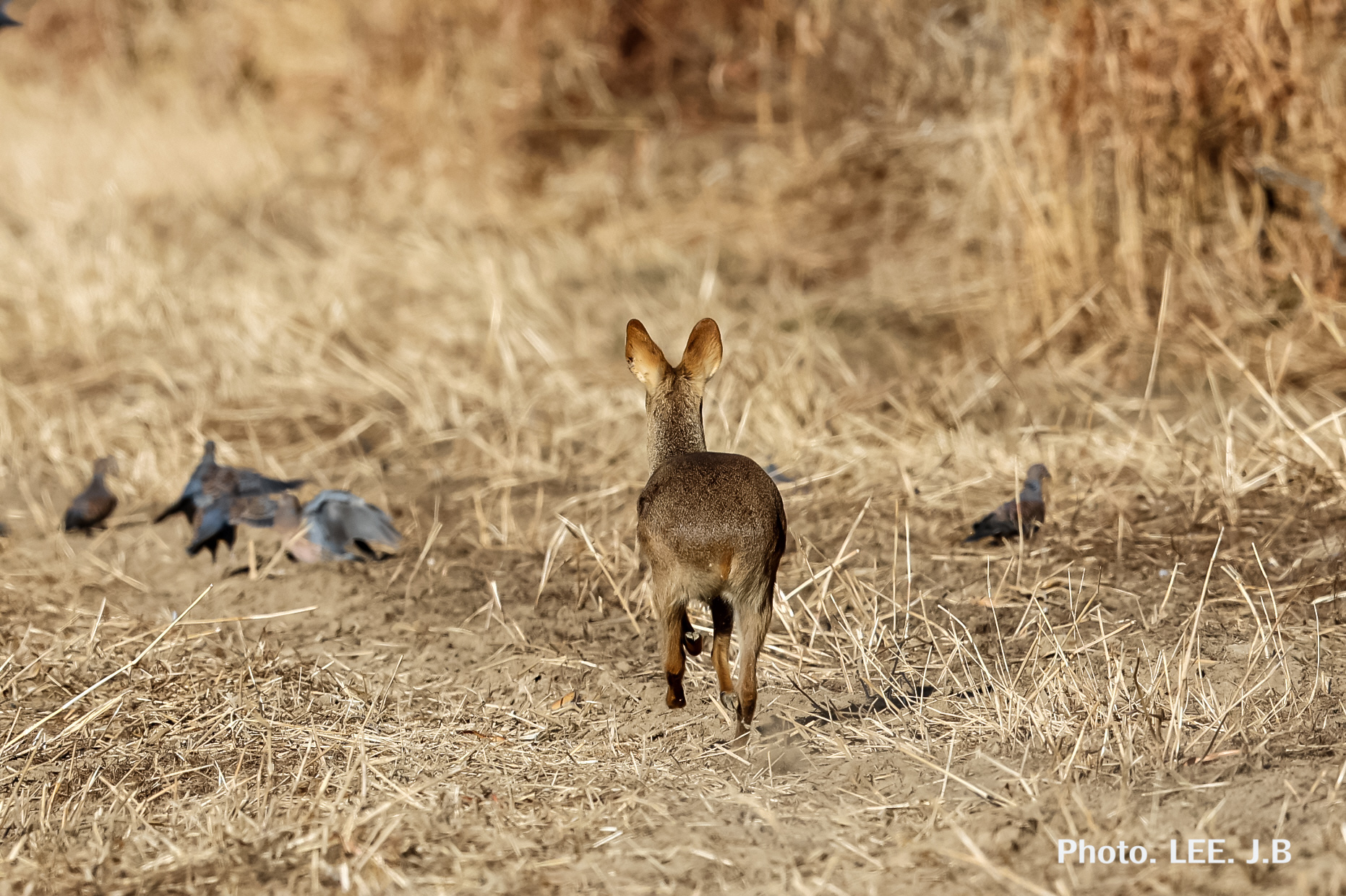 20260209-온양동상 (19).JPG