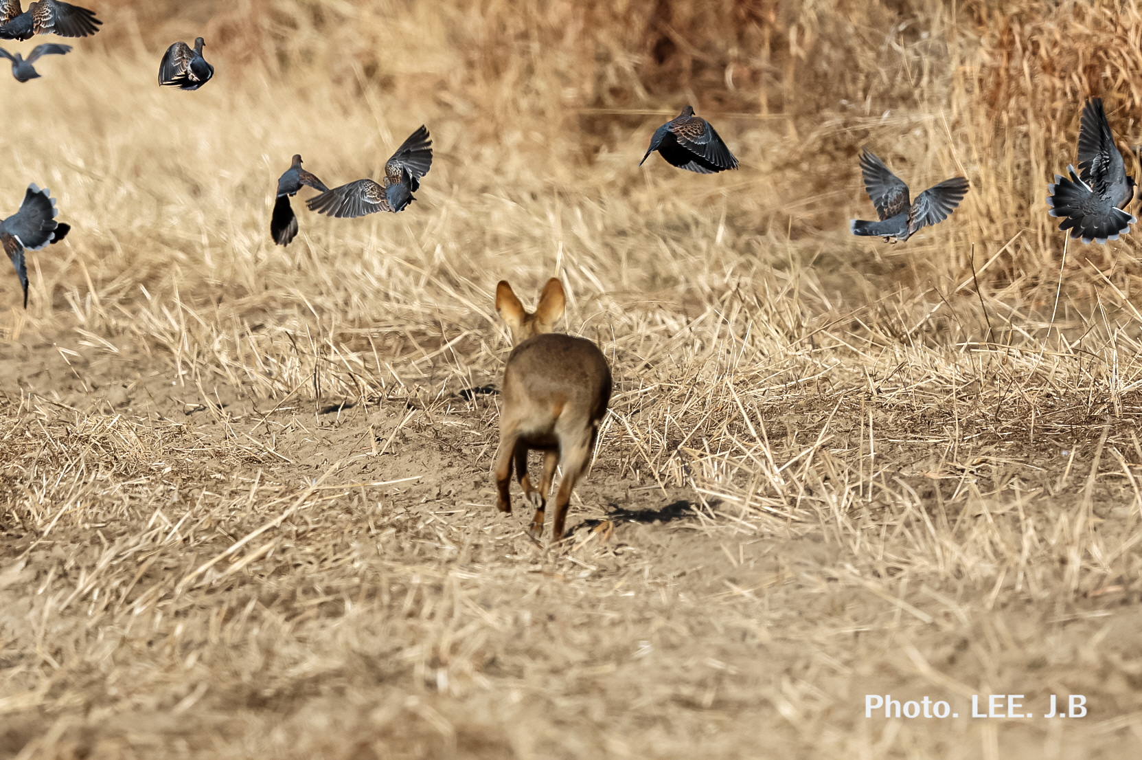 20260209-온양동상 (21).JPG