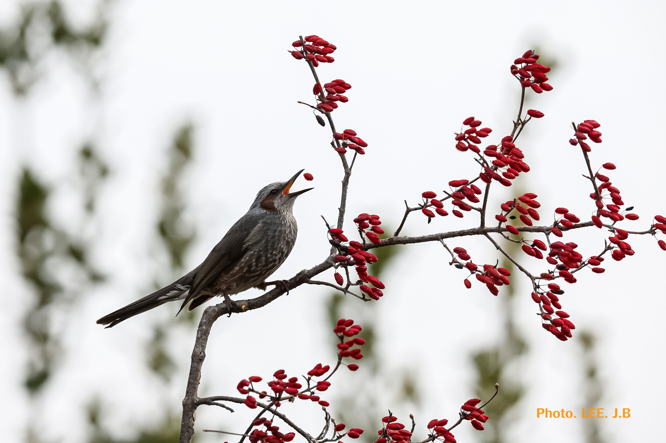 20260214-주전 (5).JPG