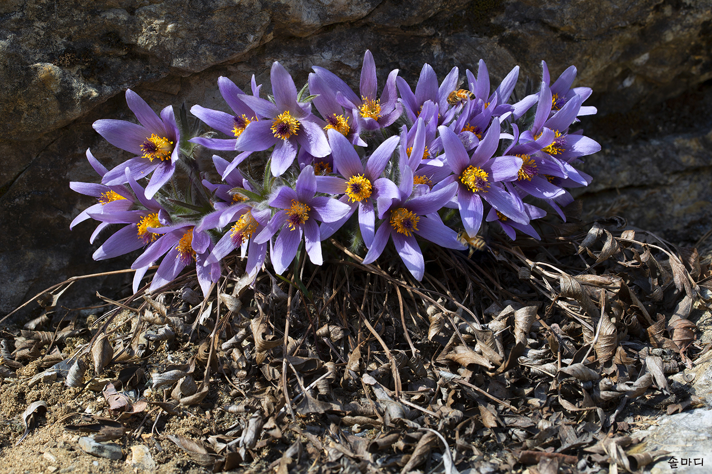 제목 없음-2-0.jpg