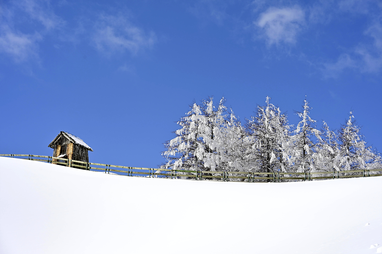 20260304 대관령양떼목장_Z6_3-0180_v-pw.jpg