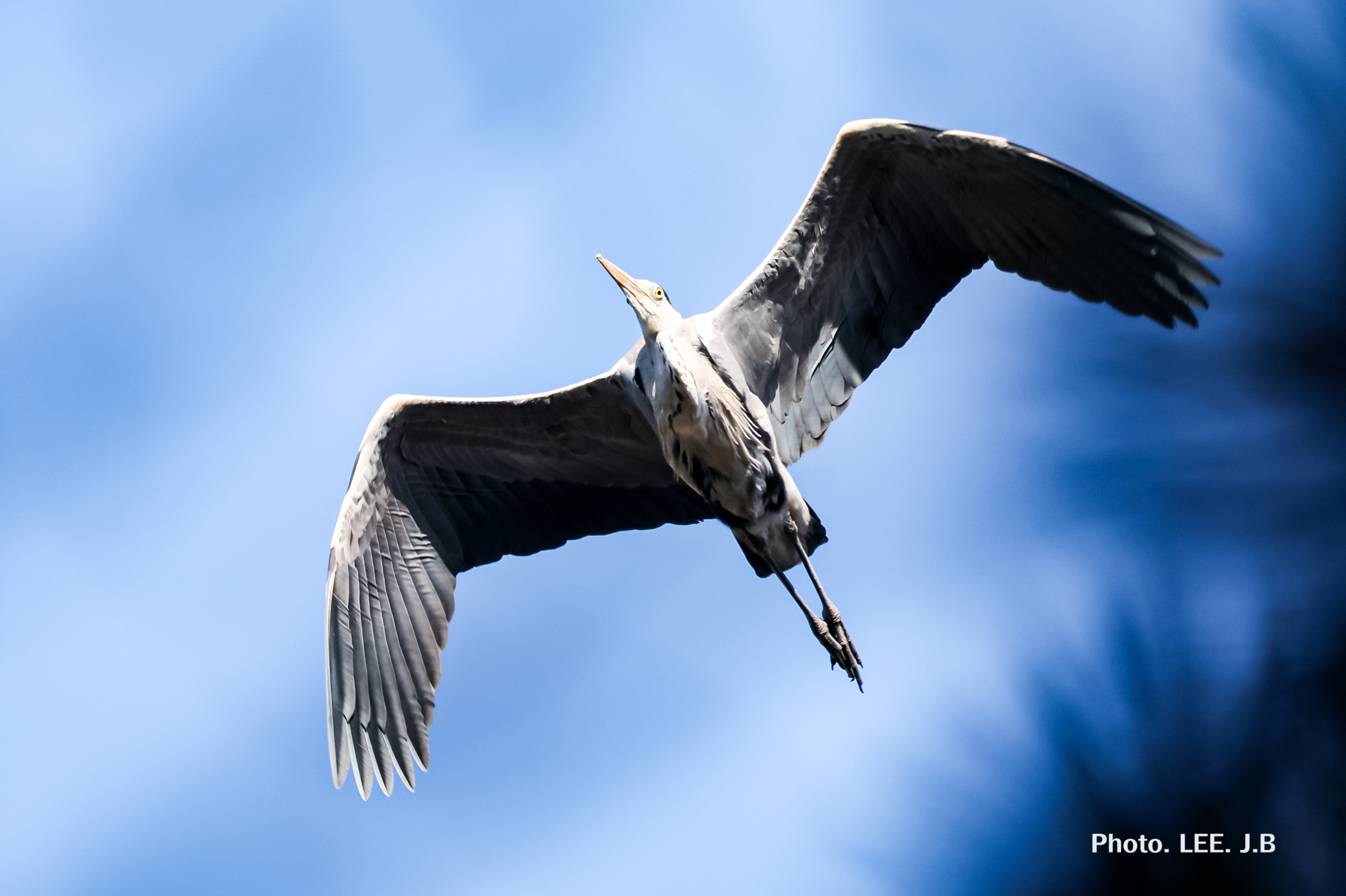 20260212-청춘의 못 (15).JPG