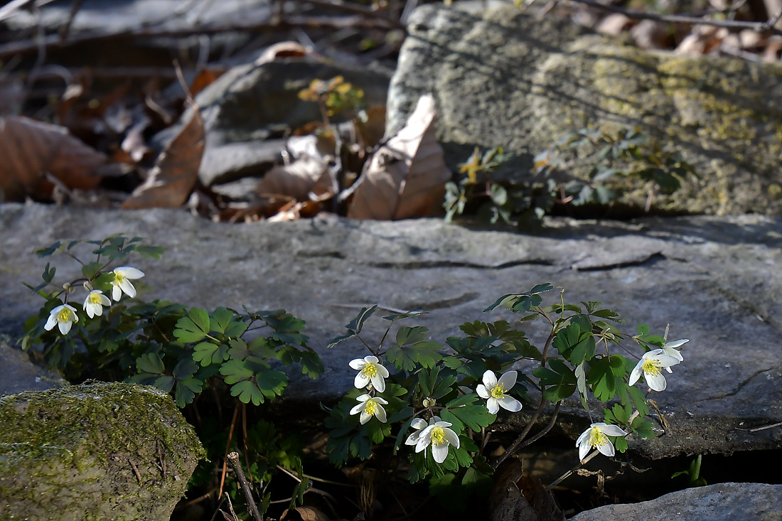 [꾸미기]DSC_7947 - 복사본.jpg