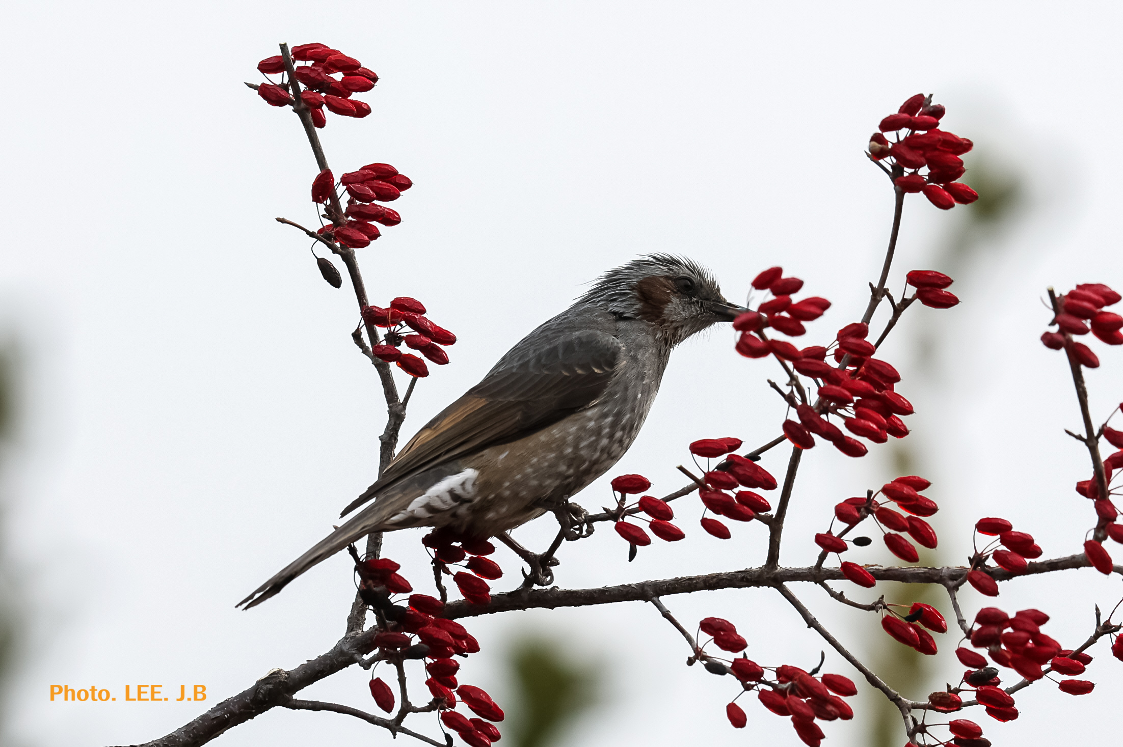 20260214-주전 (1).JPG