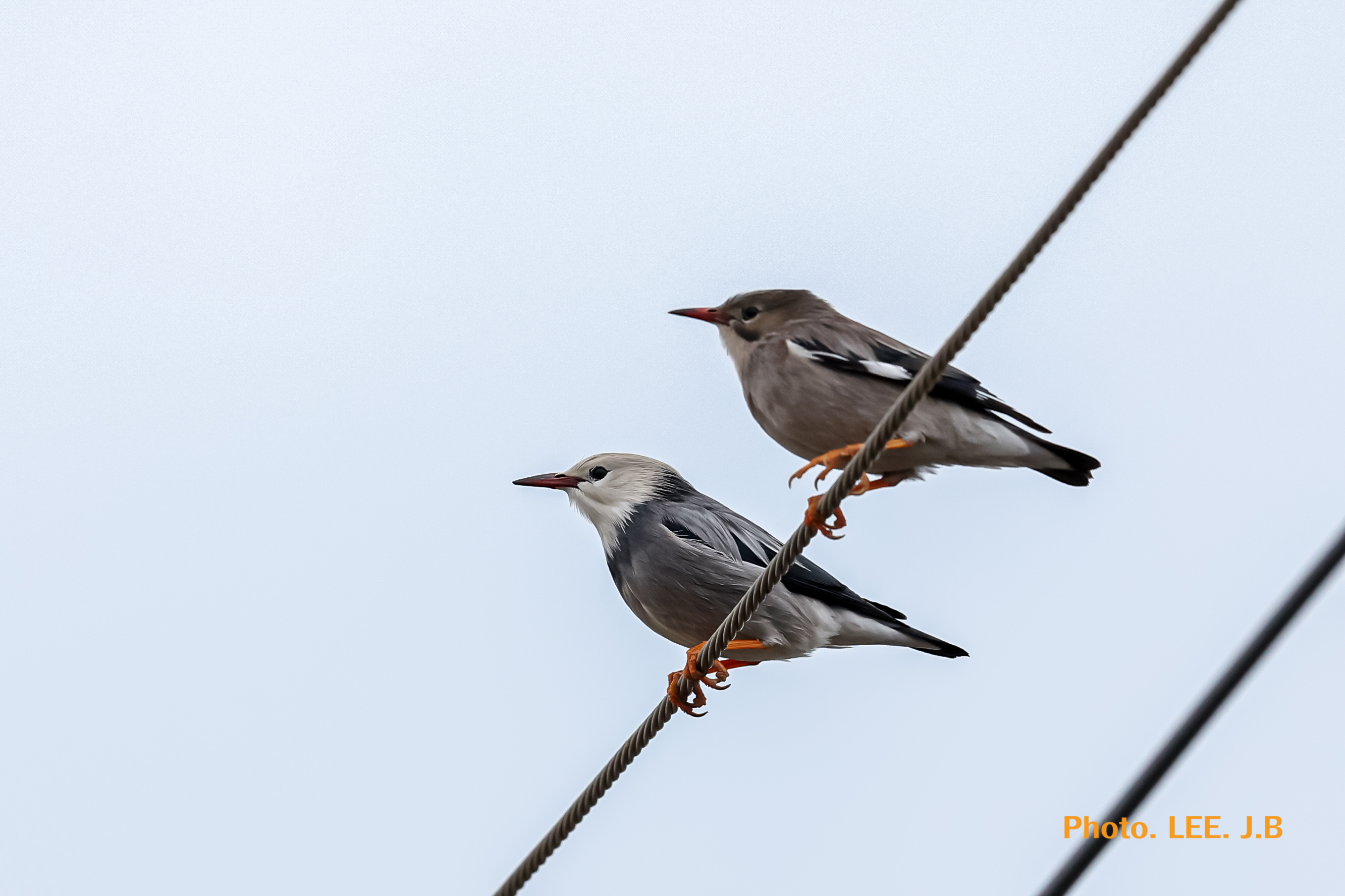 20260228-주전 (5).JPG