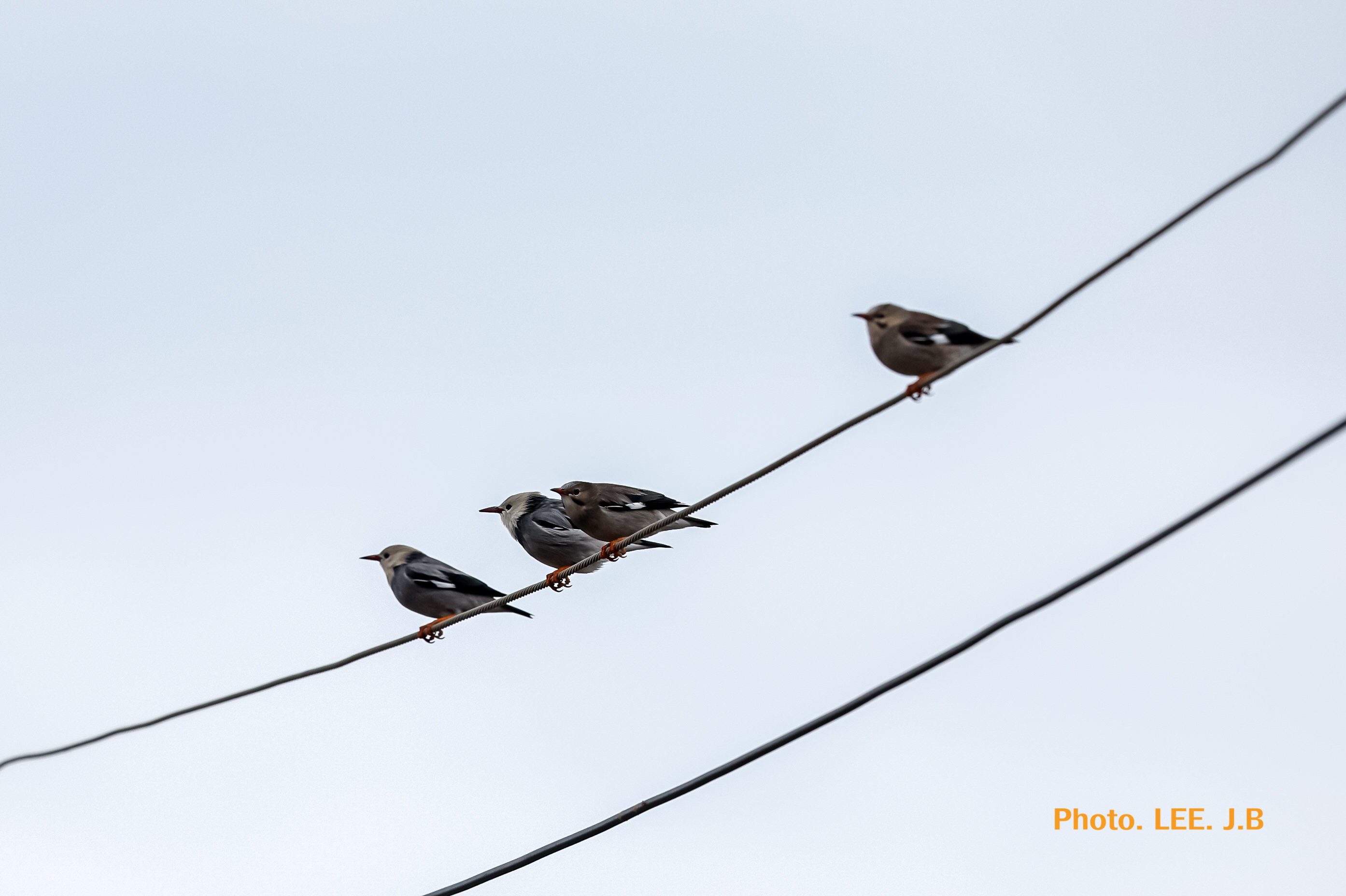 20260228-주전 (1).JPG