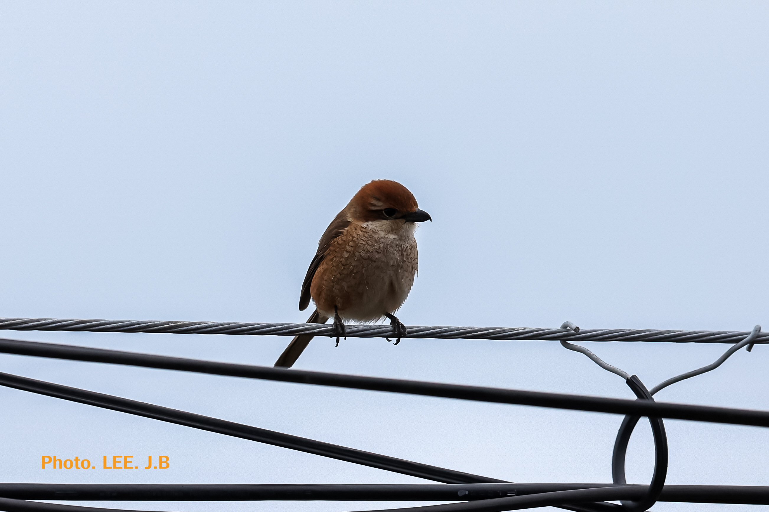 20260228-주전 (32).JPG