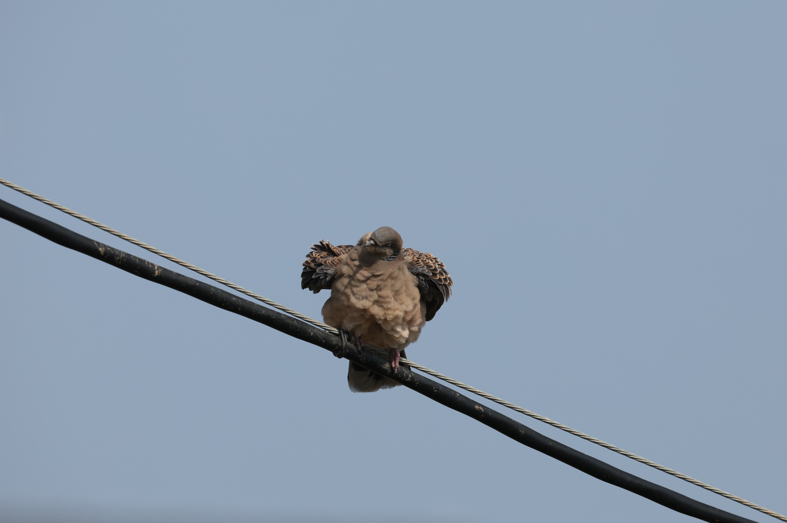 20260309-주전 (1).JPG