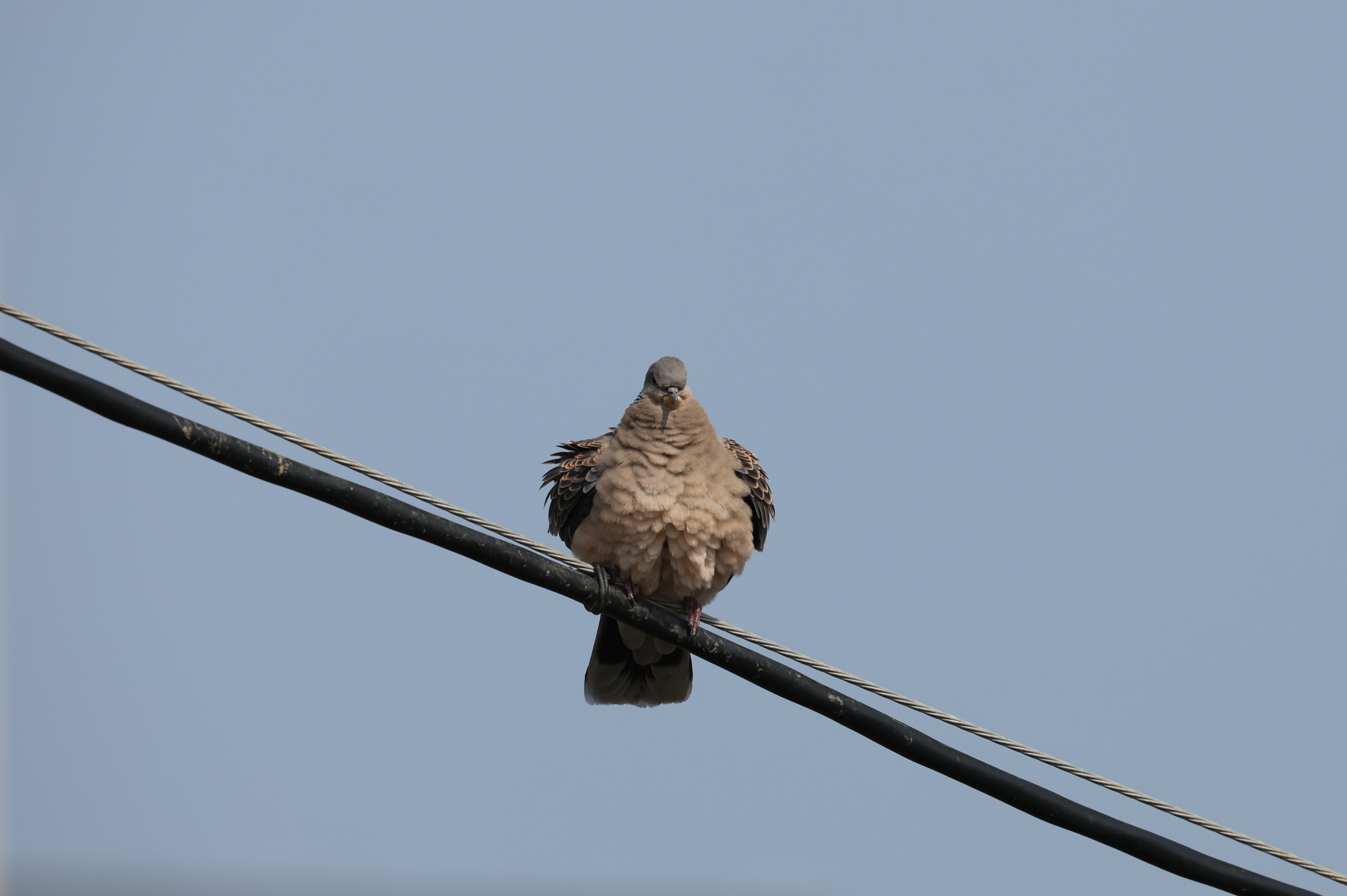 20260309-주전 (3).JPG