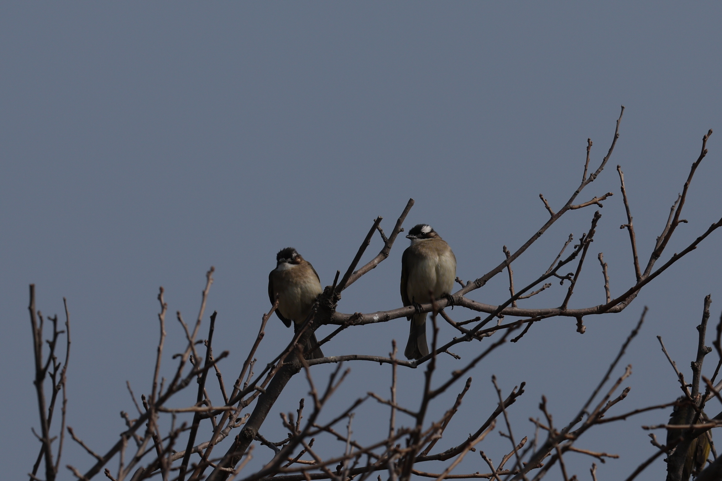 20260309-주전 (12).JPG