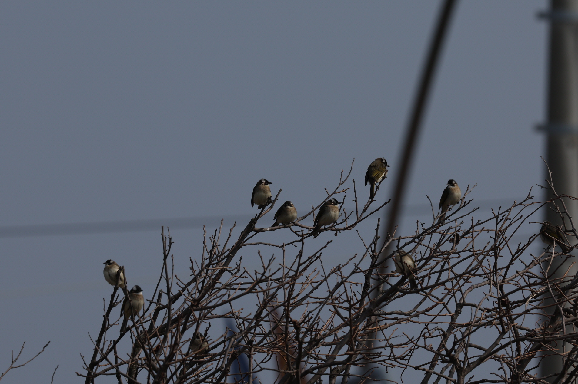 20260309-주전 (8).JPG