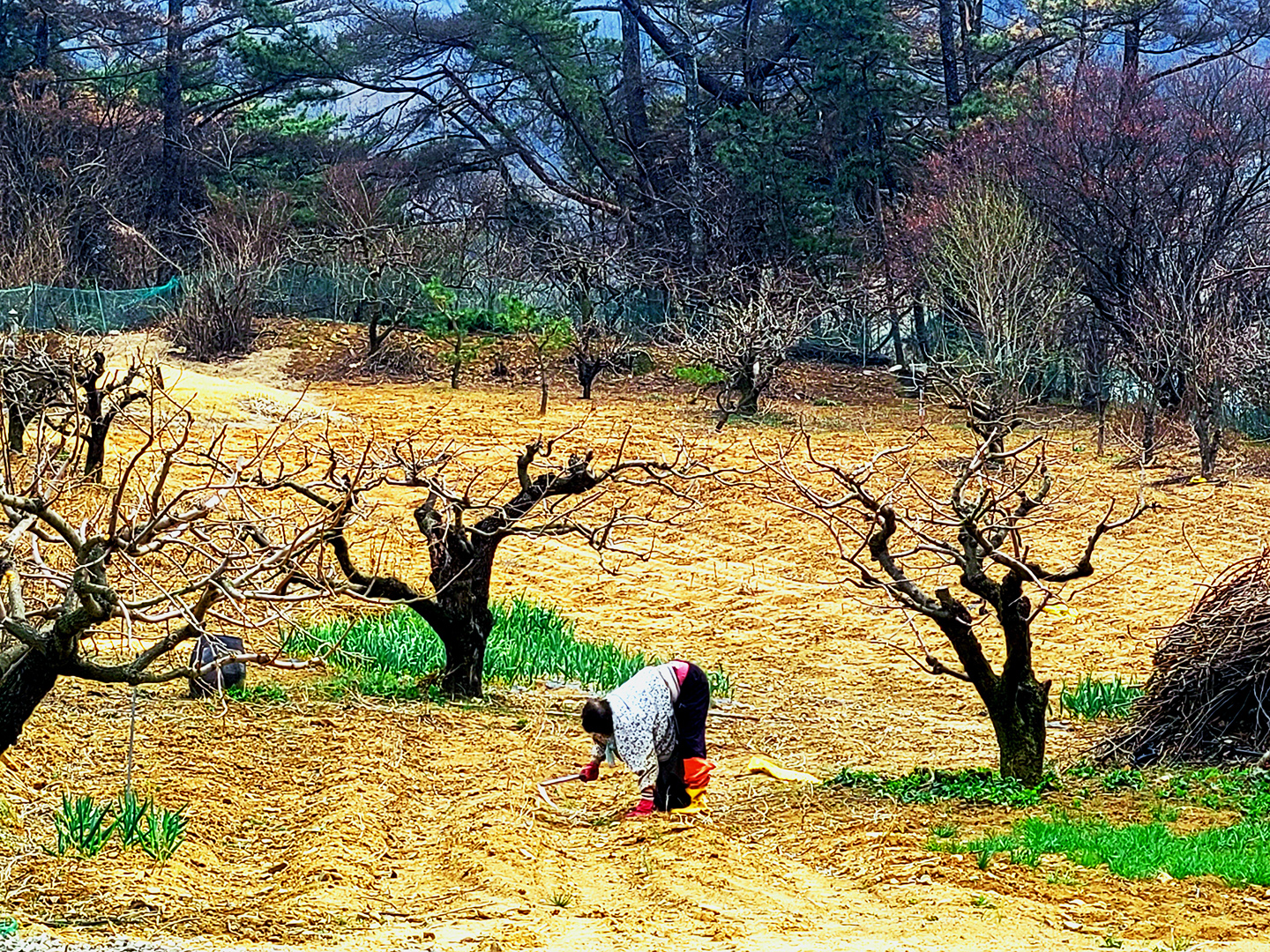 KakaoTalk_20260330_200714052_05 복사.jpg